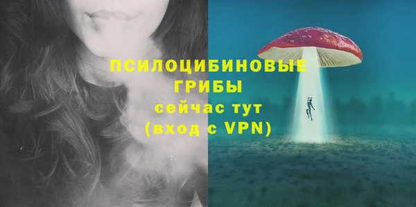 крисы Абаза