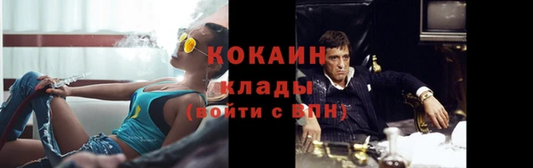 крисы Абаза