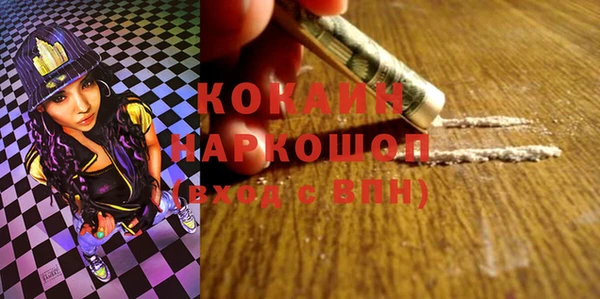 крисы Абаза