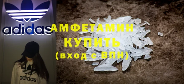 индика Сатка