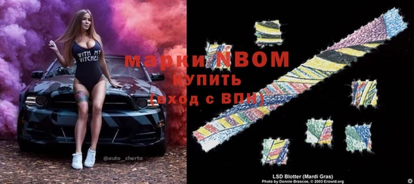 крисы Абаза