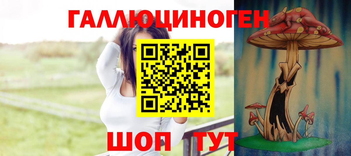 Псилоцибиновые грибы Psilocybe Дубна